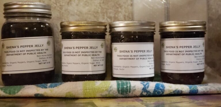 BainHomeGardens2 1 768x373