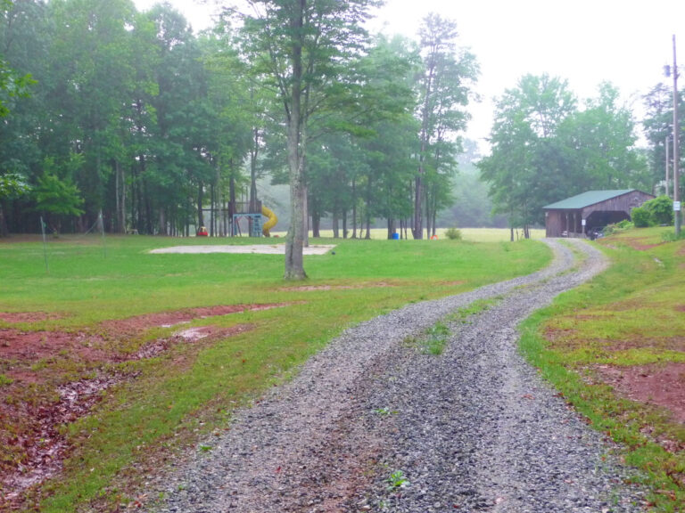 NuGenenerationFarmPark 1 768x576