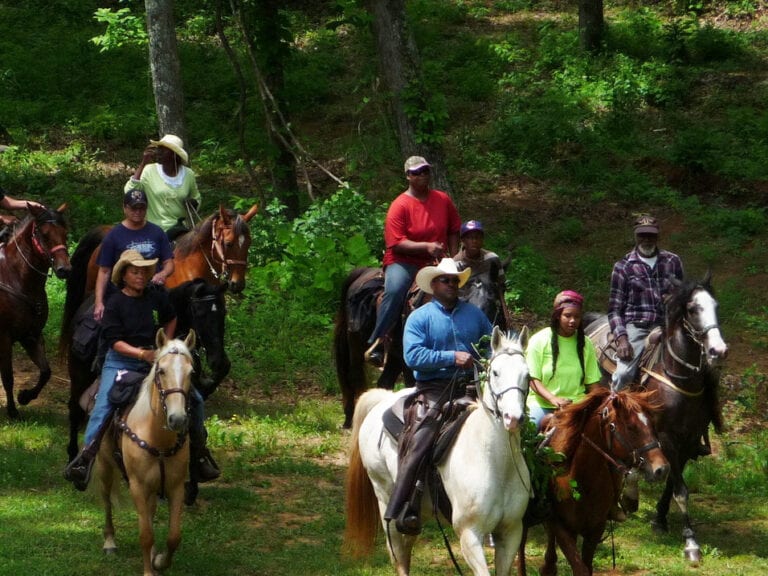 NuGenenerationFarmPark3 1 768x576