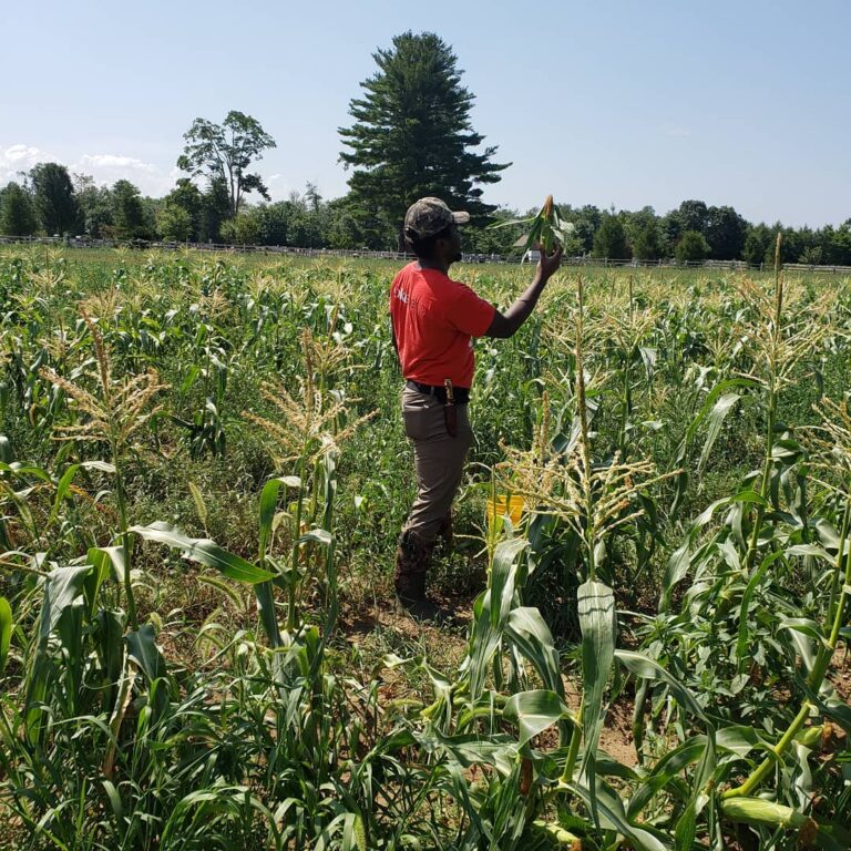 AgricOrganicsUrbanFarm2 768x768