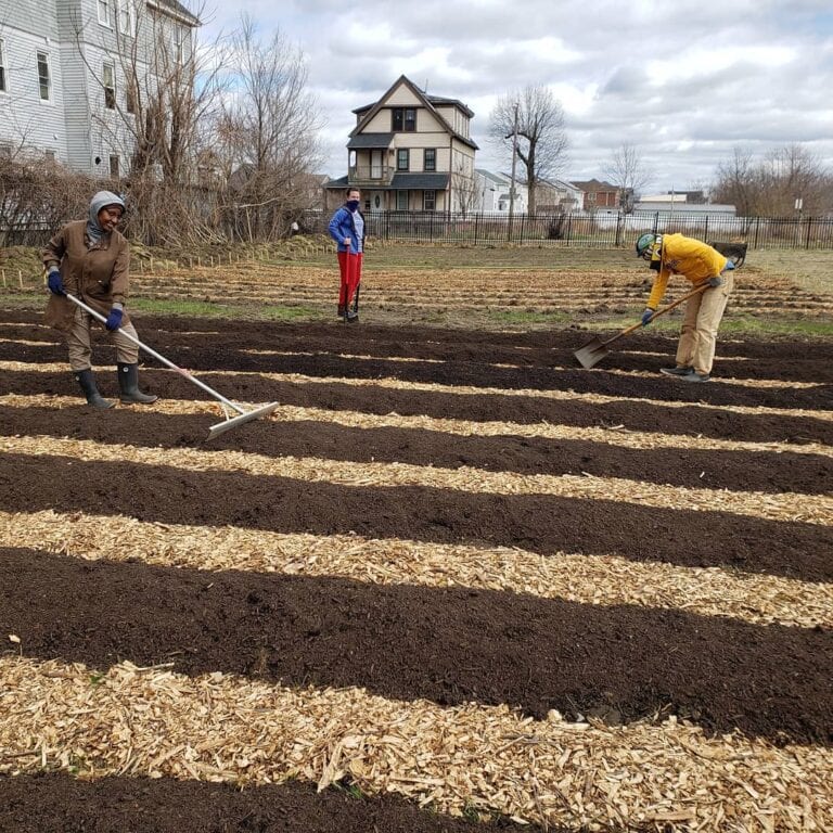 AgricOrganicsUrbanFarm3 768x768