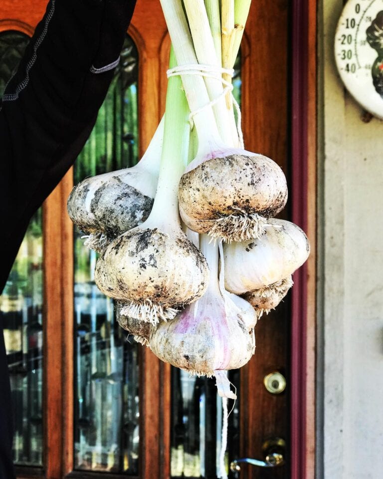 BunkhouseAcres4 768x960