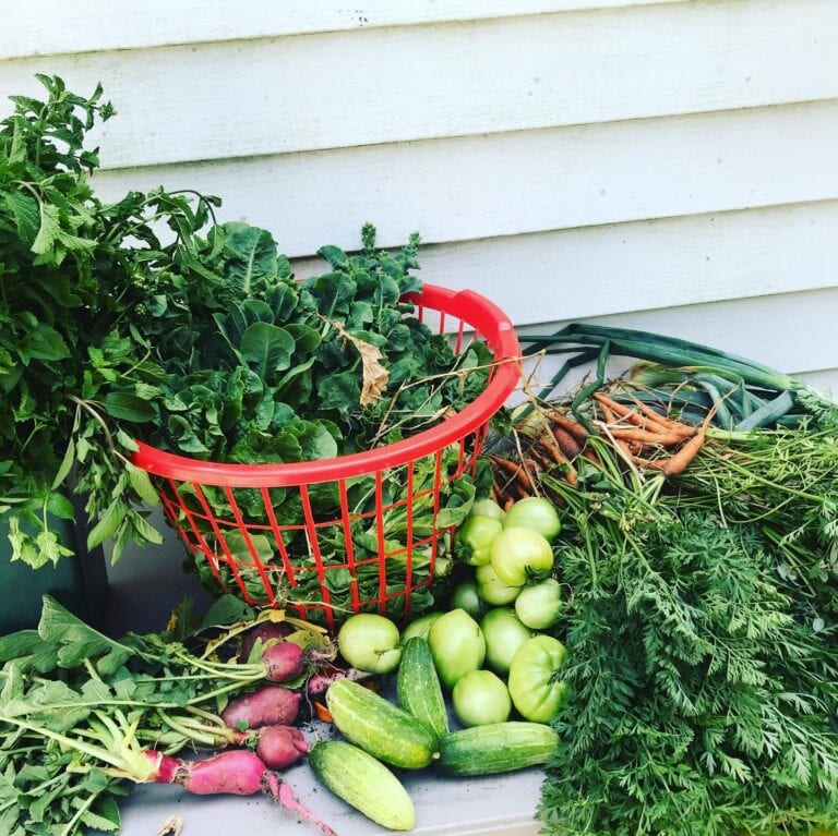 ChiCityFoods2 768x767