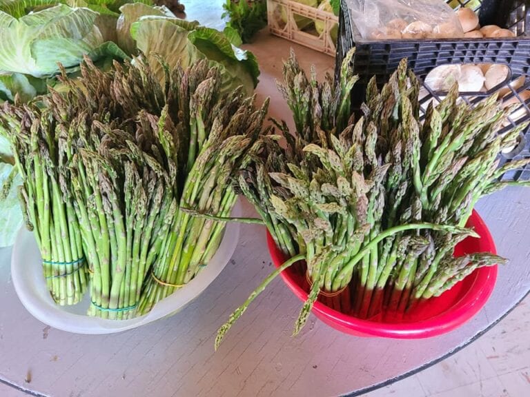 CommonGroundProducersandGrowers4 768x576