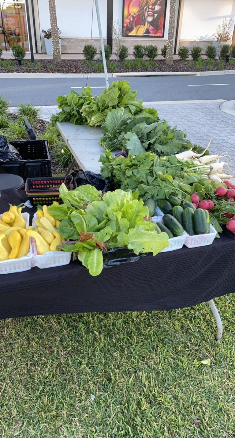 FisherFarms2 768x1429