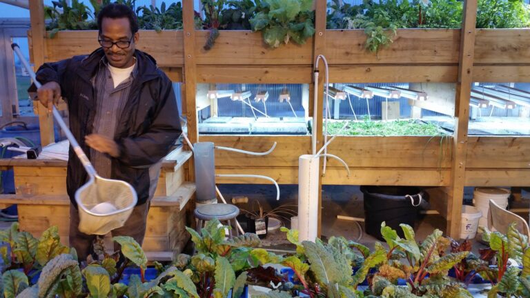 HolisticHealthFarms 768x432