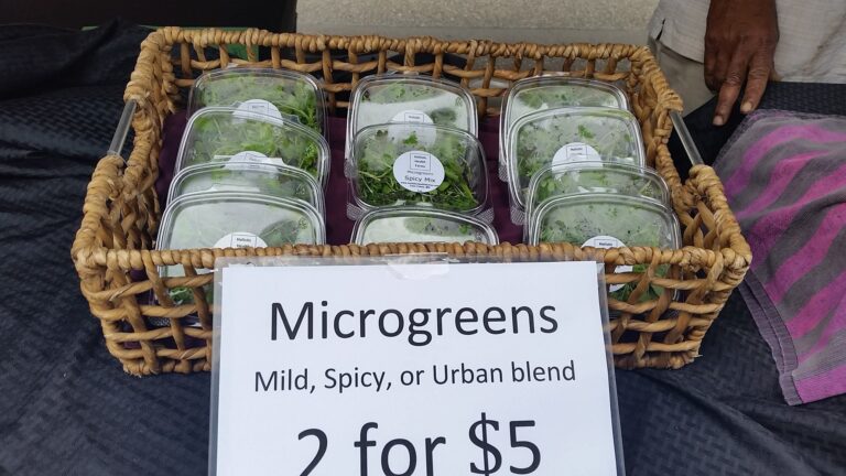 HolisticHealthFarms2 768x432