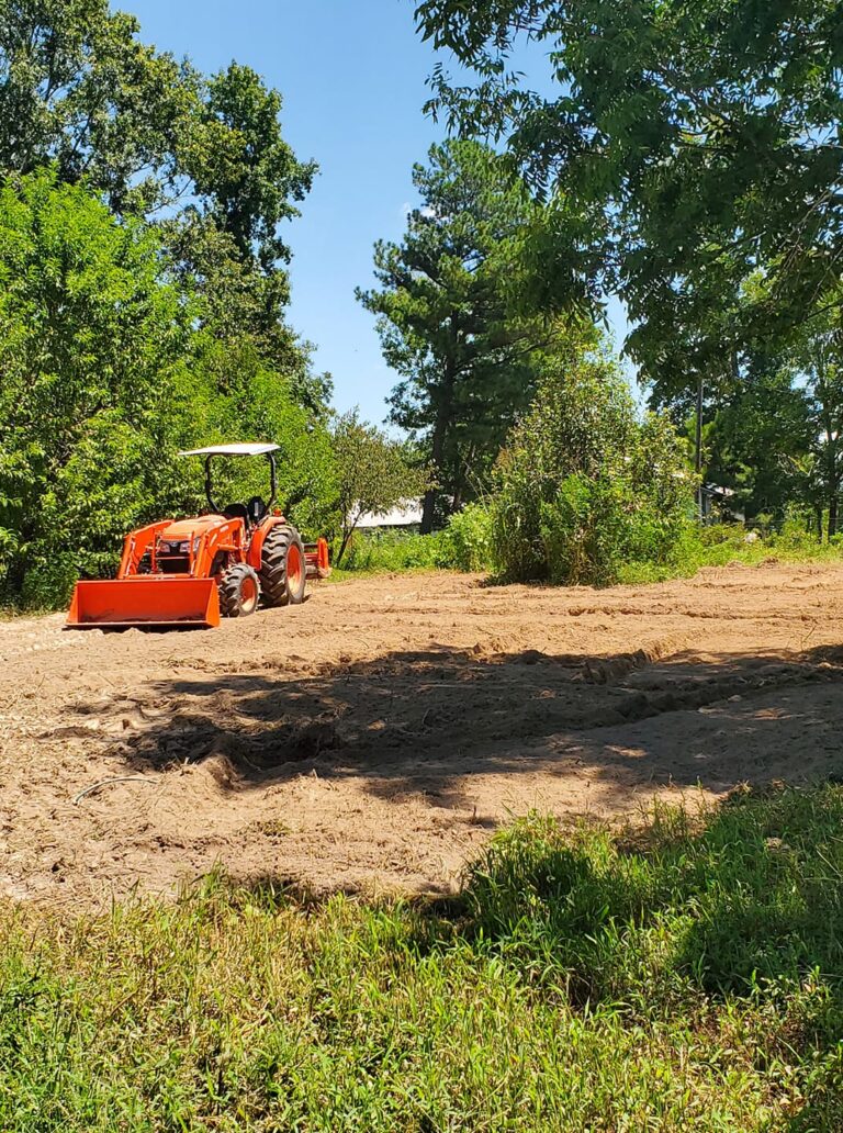 LongWalkSpringFarm2 768x1032