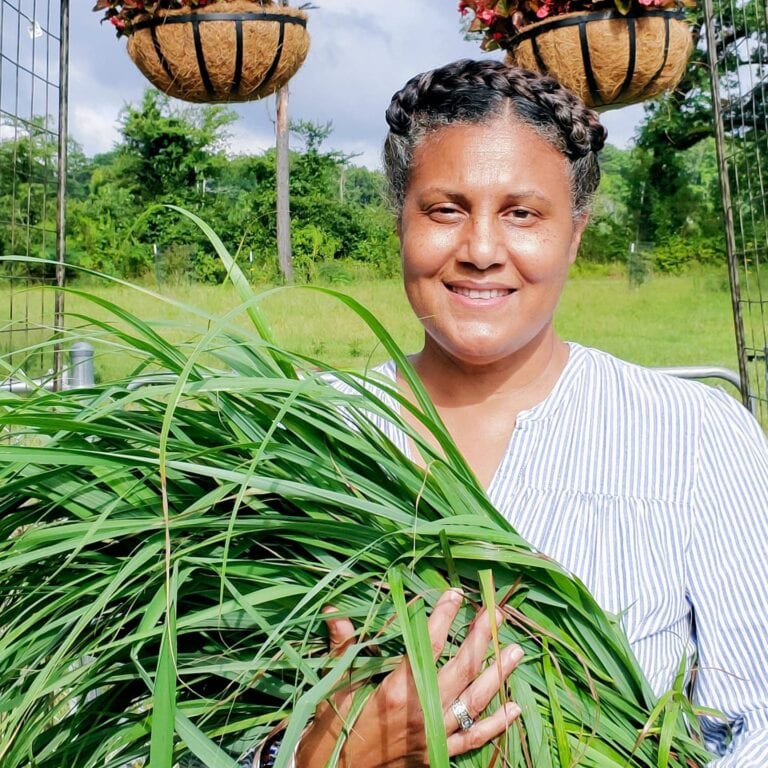 LongWalkSpringFarm3 768x768