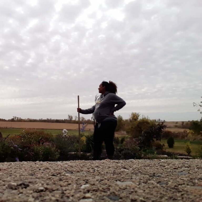 MinervasMeadow 768x768