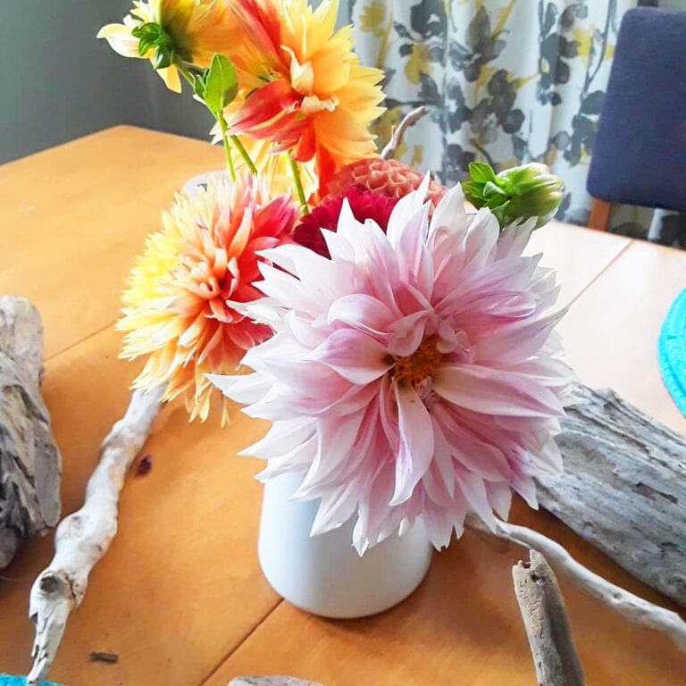 MinervasMeadow2 768x768