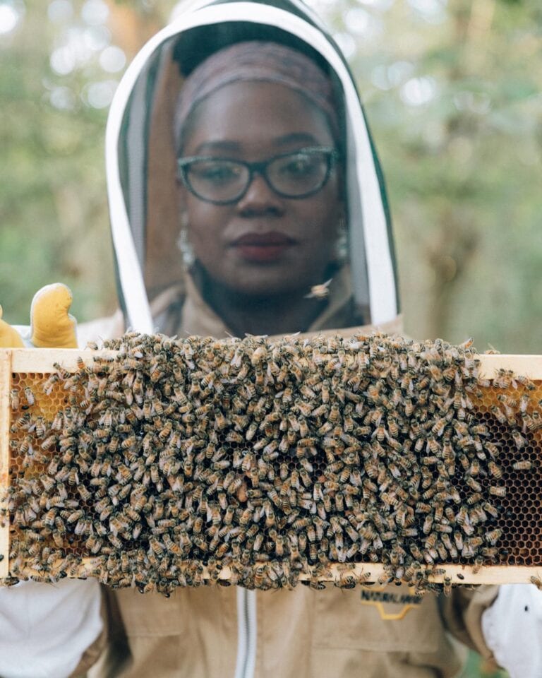 MothersFinestFamilyFarm 768x960