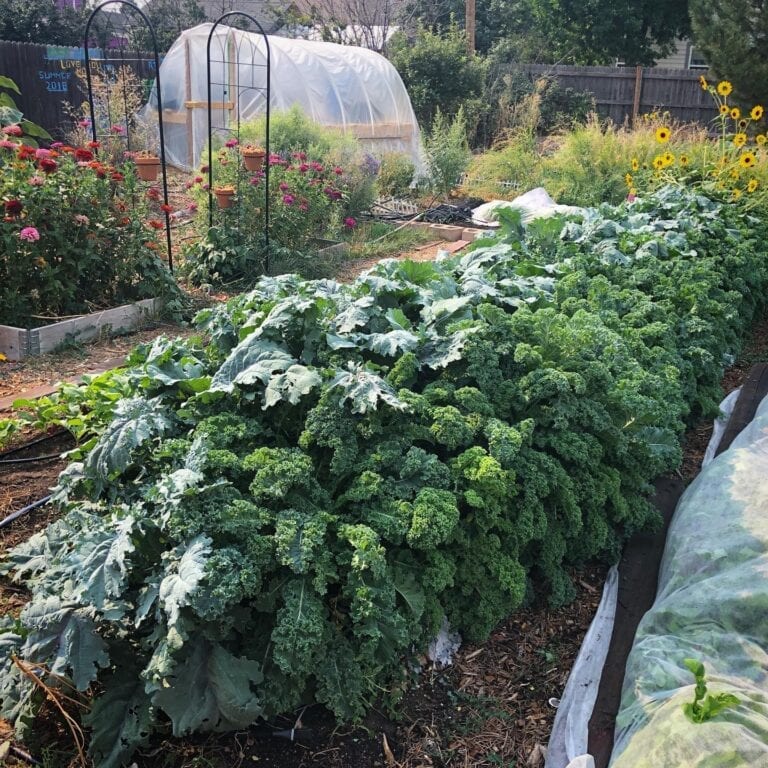 RebelsInTheGarden2 768x768