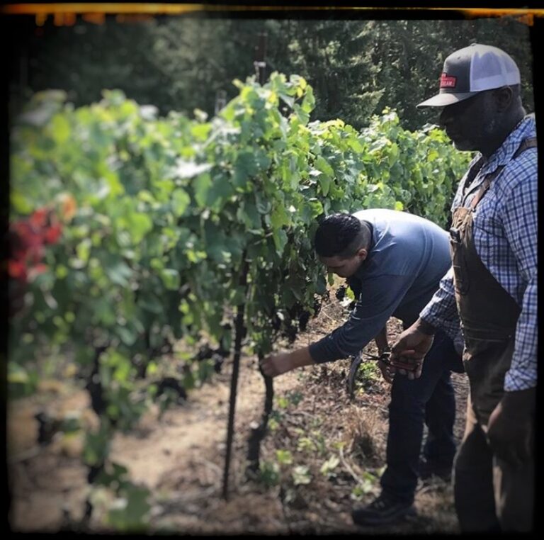 AbbyCreekVineyardandWinery1 768x762