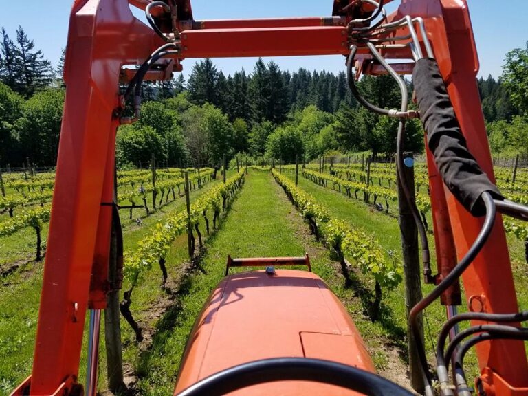 AbbyCreekVineyardandWinery6 768x576