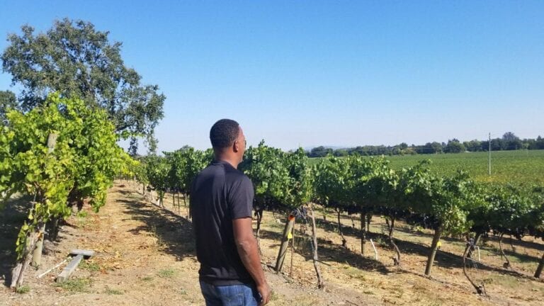 CharlesWineCoPaulVinyardPic2 768x432