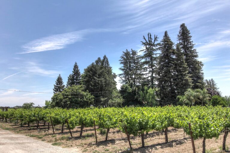 TasteCollectionCellars1 768x512