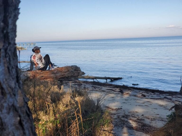 amina l s land the muvaland 768x576