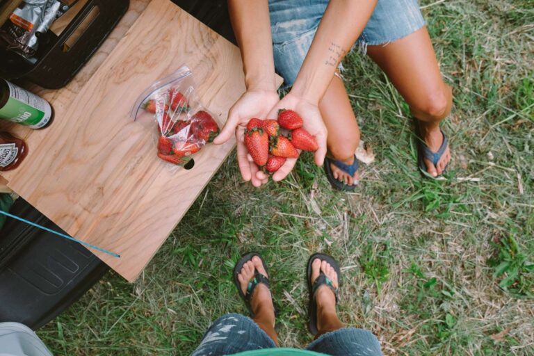 homestead asili well known secret just outside town food poc strawberries 768x512