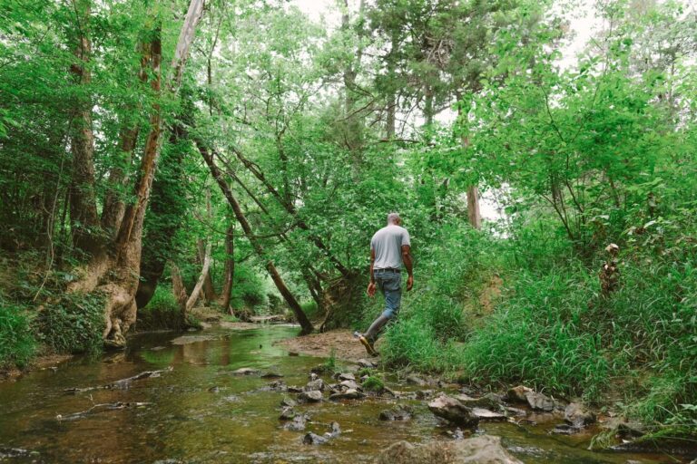 homestead asili well known secret just outside town forest people water 768x512