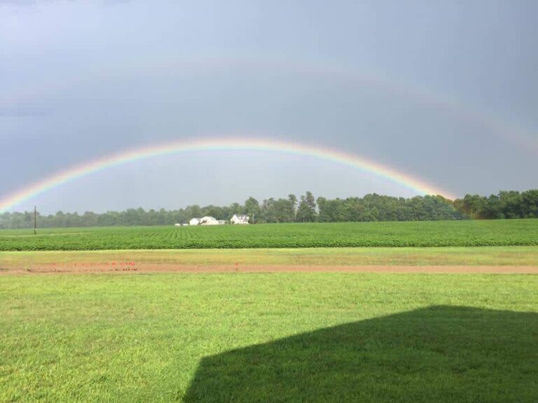 marvin t s land peace adventure at thornton farm 768x576