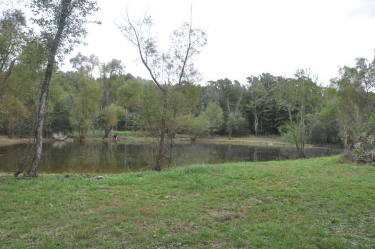 poppy s ponderosa poppy s ponderosa 1 768x510