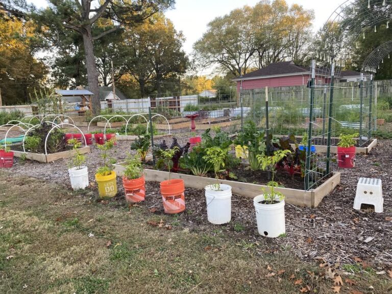 rustic roots sanctuary rustic roots sanctuary and farm 4 768x576