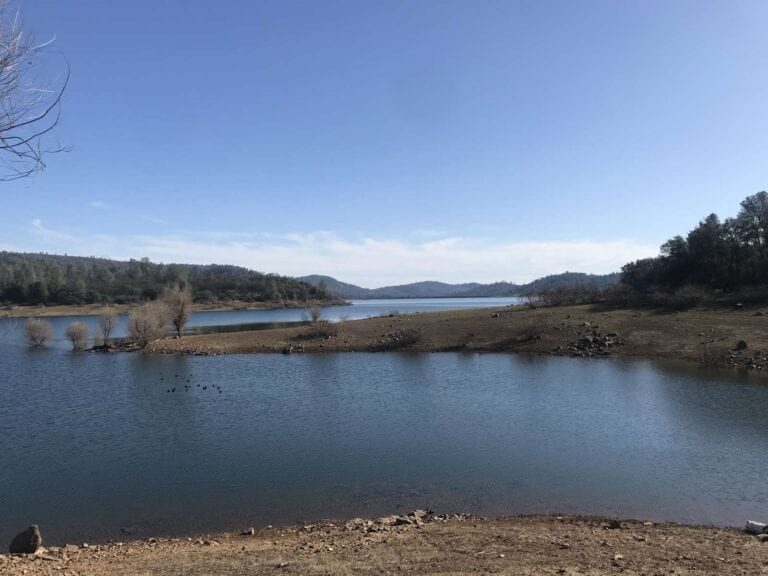 sugarloaf moringa farm llc sugarloaf moringa farm llc northern california 1 768x576