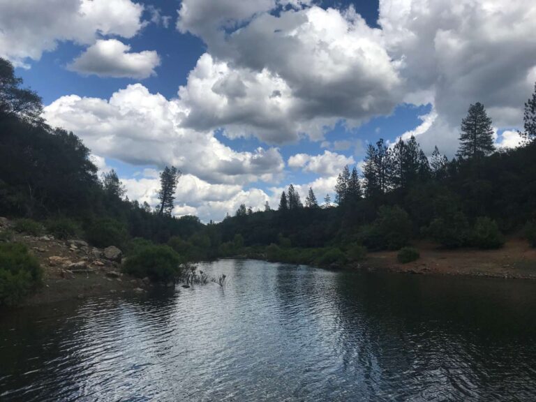 sugarloaf moringa farm llc sugarloaf moringa farm llc northern california 768x576