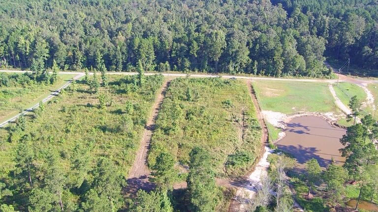 woody bottoms woody bottoms 1 768x432